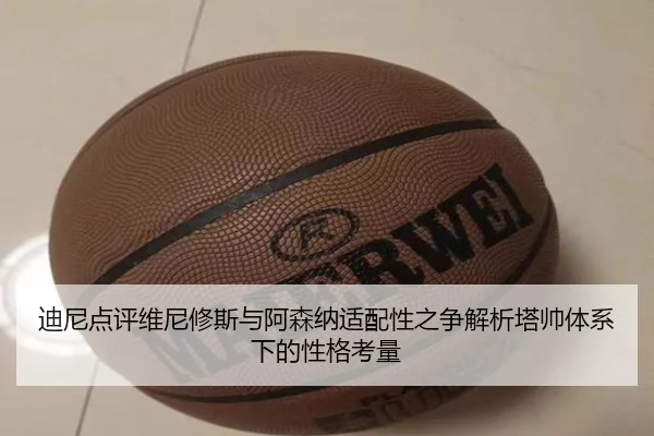 迪尼点评维尼修斯与阿森纳适配性之争解析塔帅体系下的性格考量